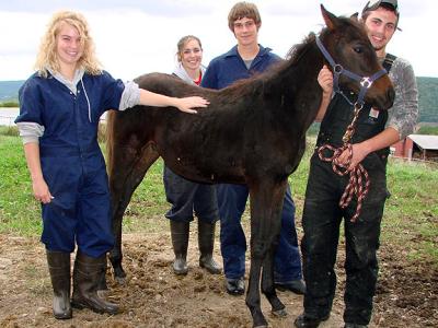 horse story students DSC03707