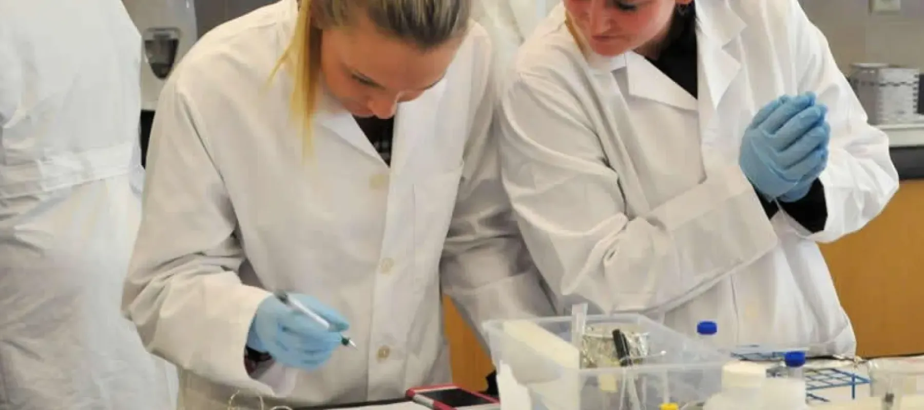 Students working in lab.