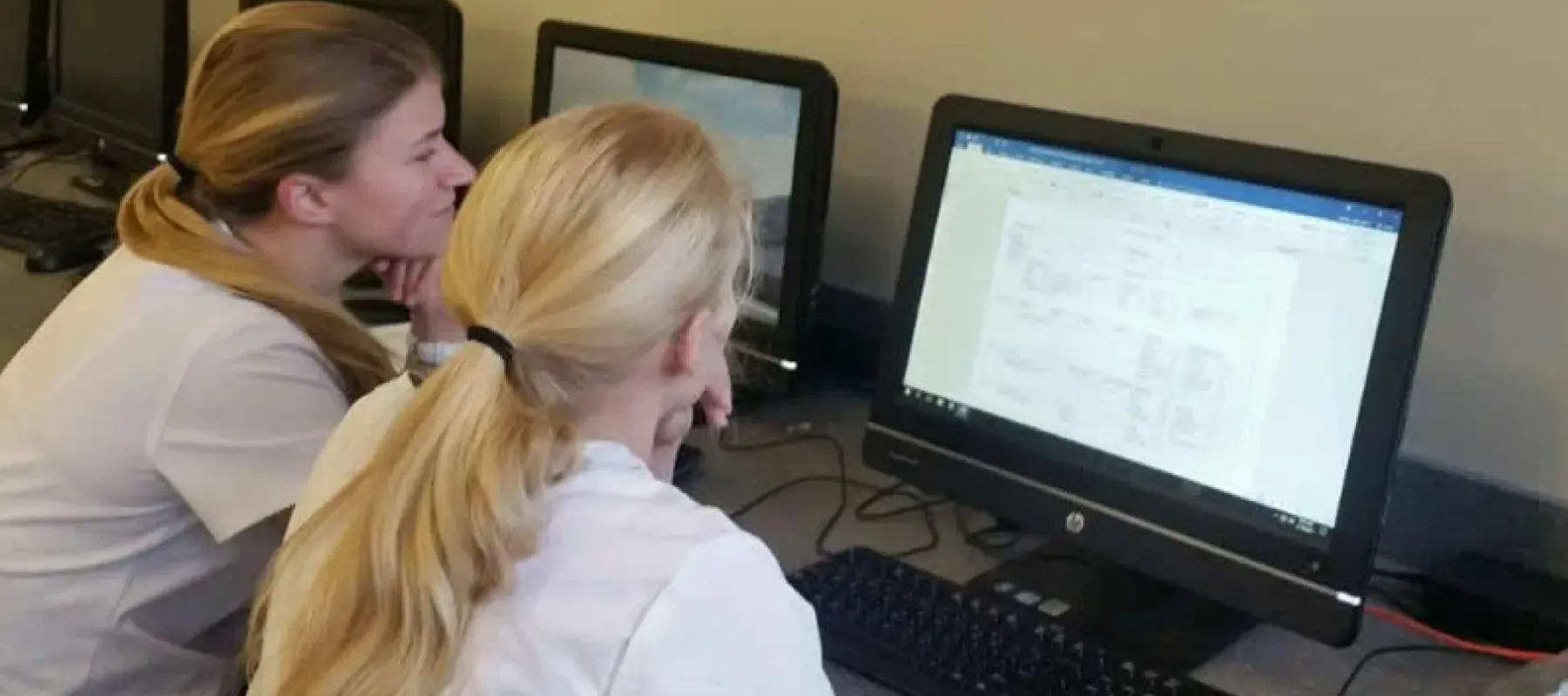 Healthcare management students working on computer together.