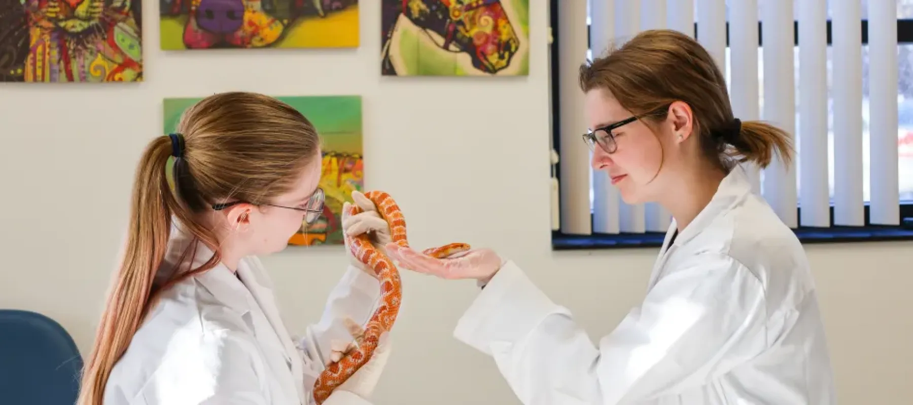 Two woman holding a snake.
