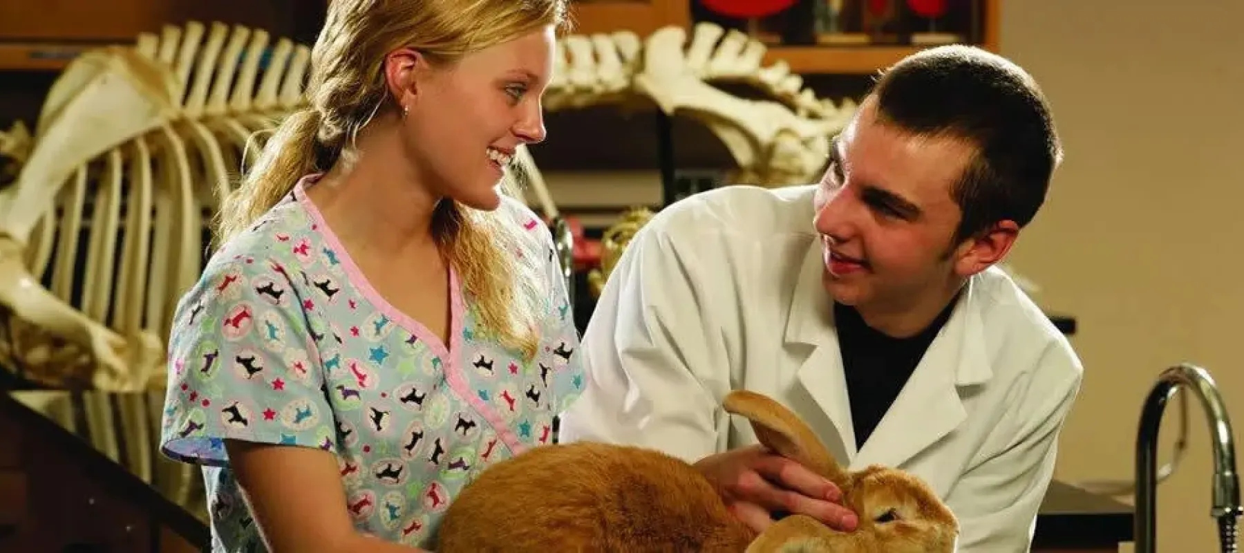 Man and woman in classroom with a rabbit.