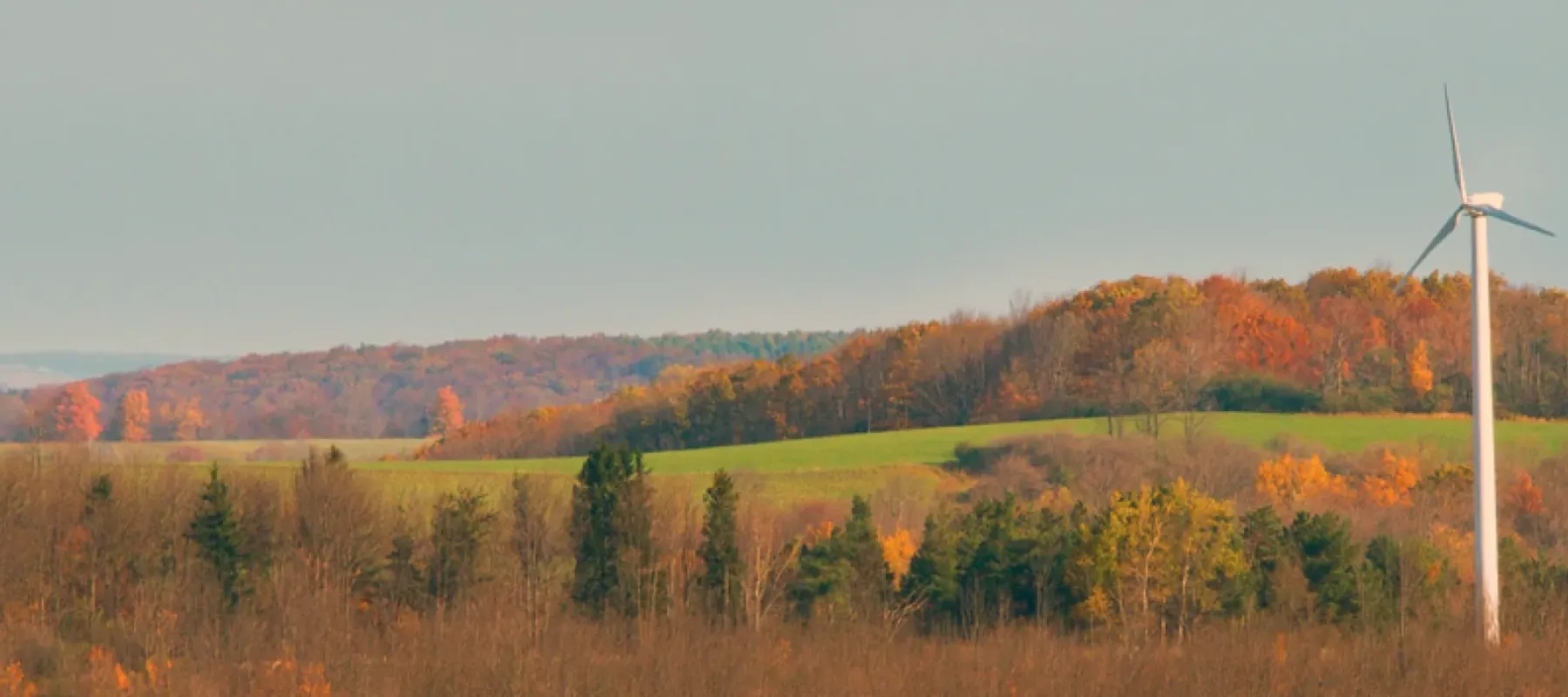 View of trees and field with wind turbine.
