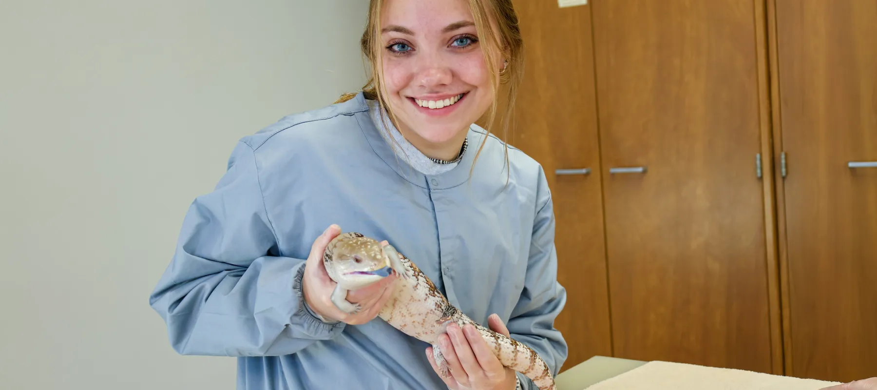 a student holding a blue-tongued lizard