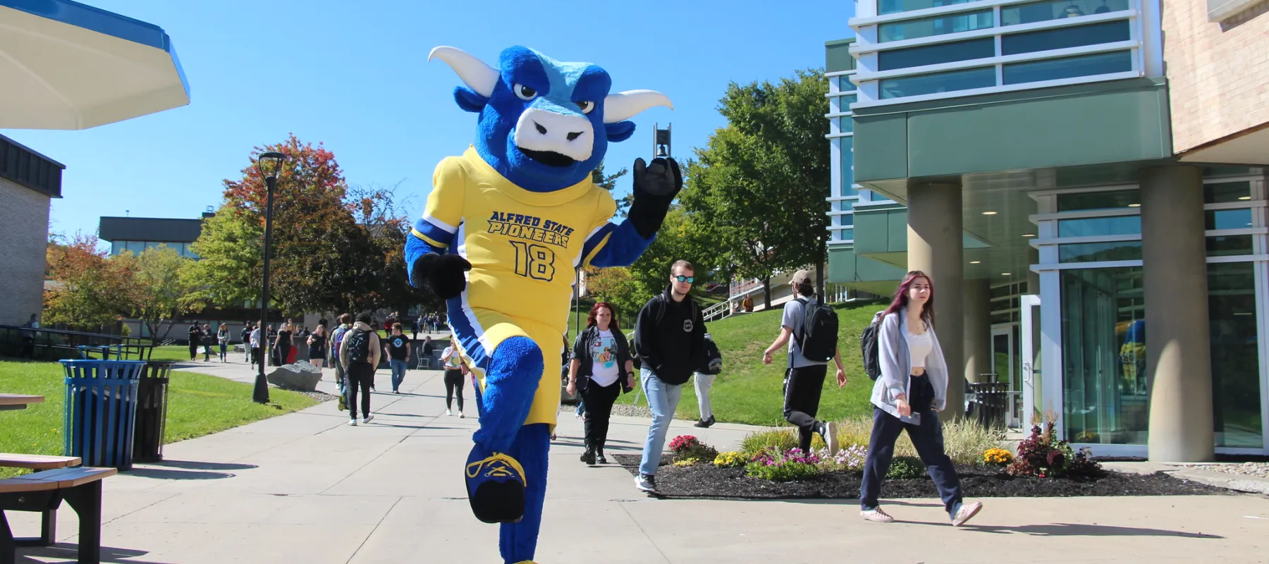 Alfred State's mascot, Big Blue, walking on campus